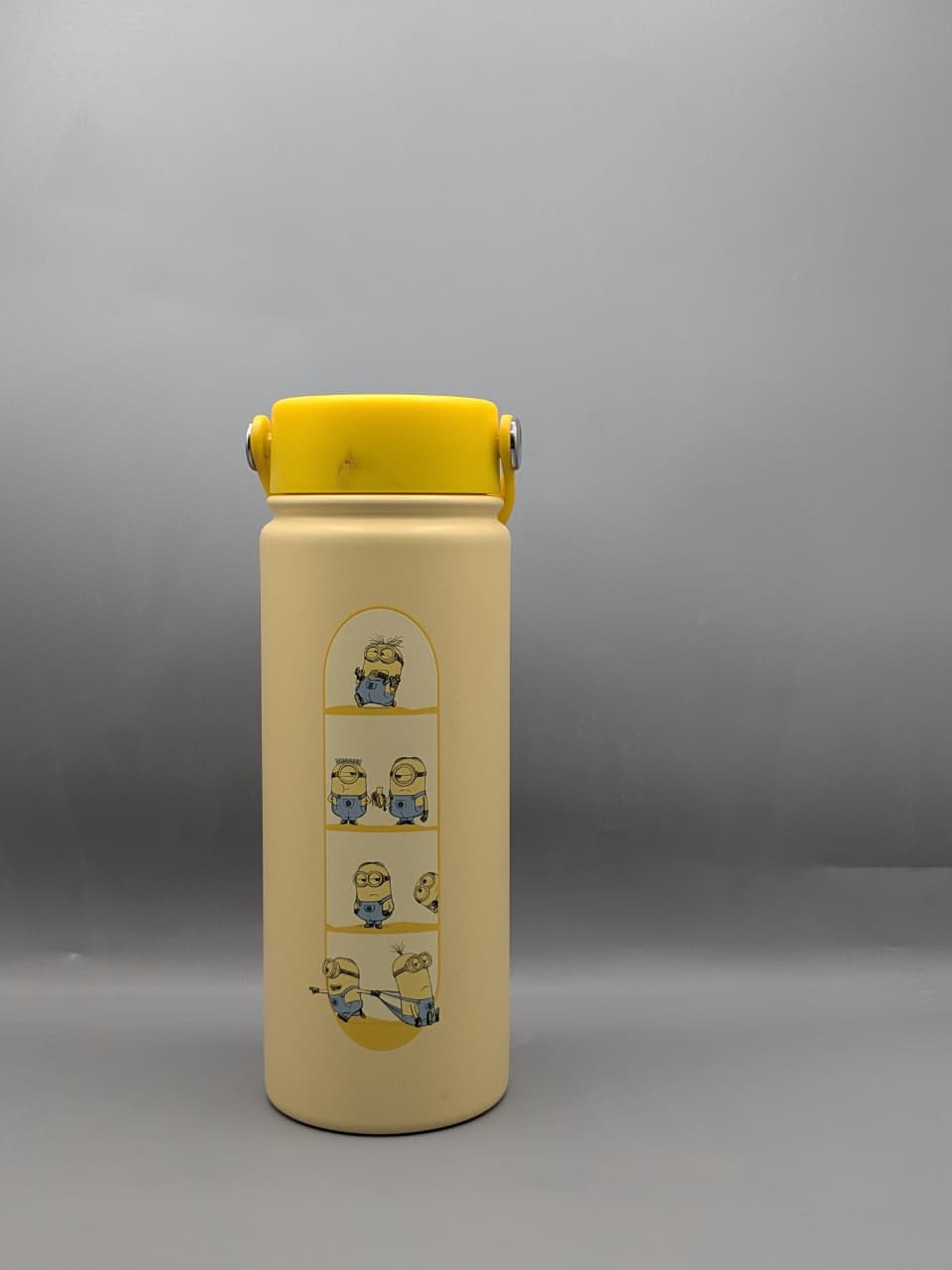 Brio Bottle, specifically a vacuum-insulated stainless steel water bottle (530ml) 7