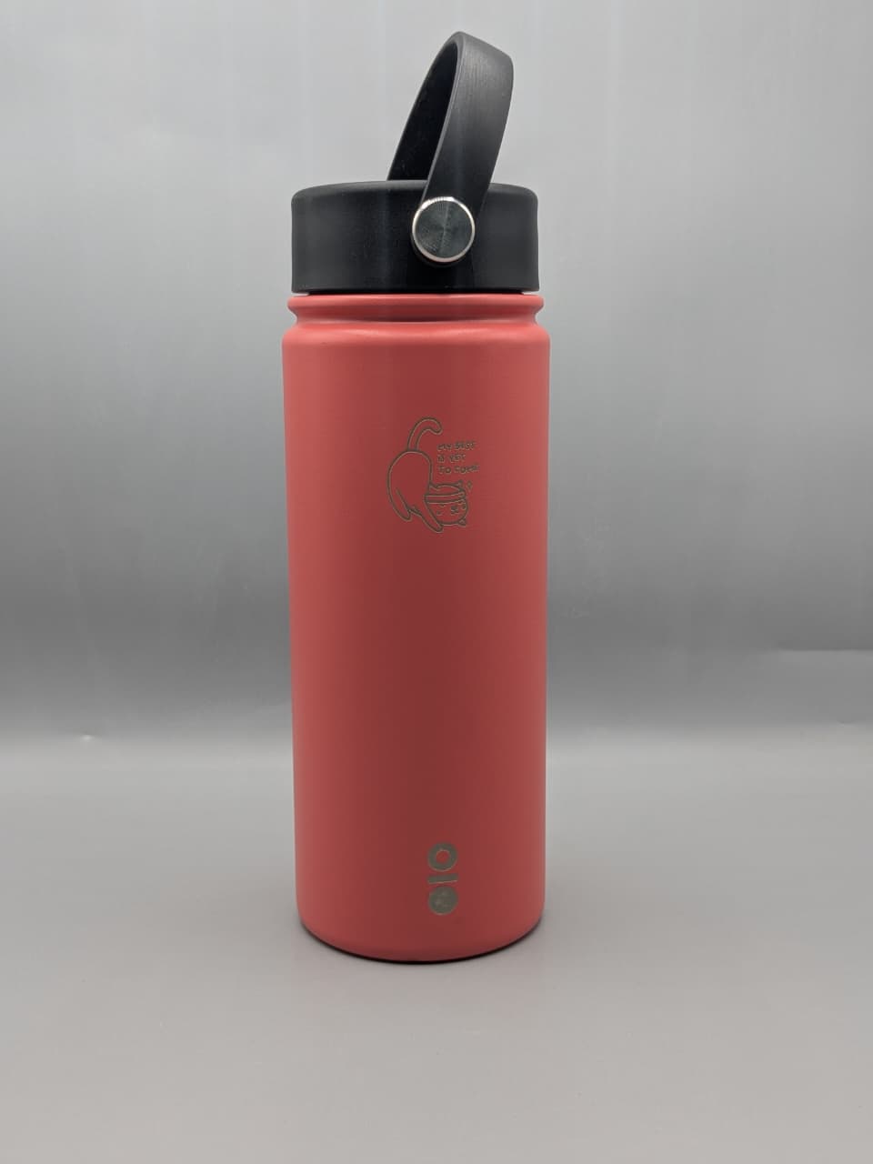 Brio Bottle, specifically a vacuum-insulated stainless steel water bottle (530ml) 19